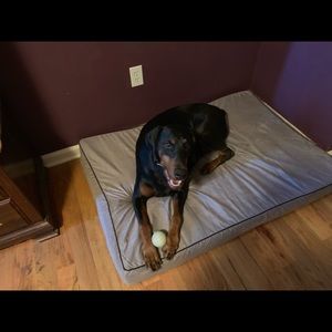 Meet your Posher, Jeanine